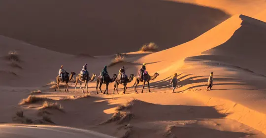 Morocco Dessert
