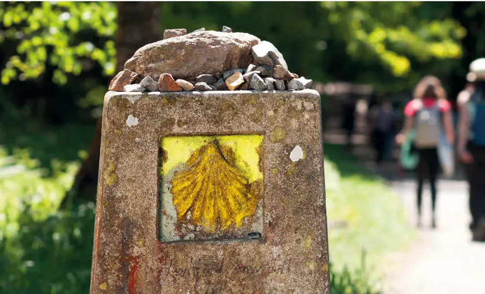 walking in camino