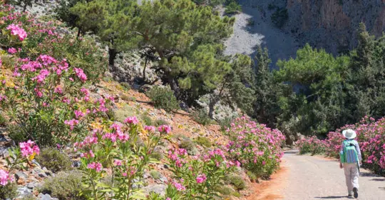 Walking in Crete