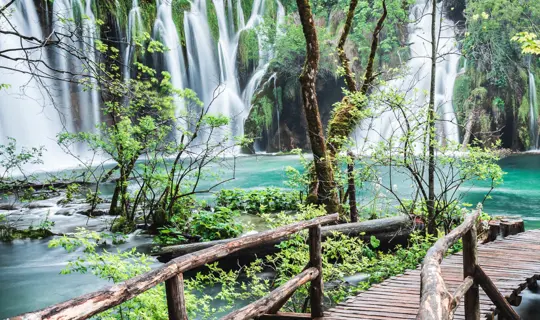 Croatia's Istrian Coast banner.jpg