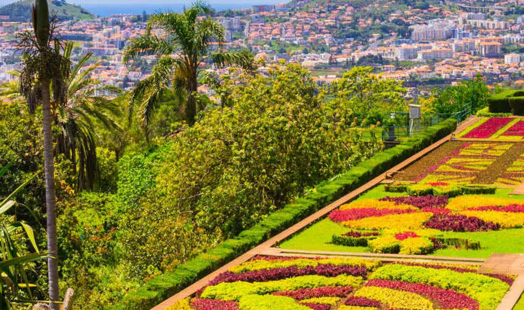 madeira botanical gardens