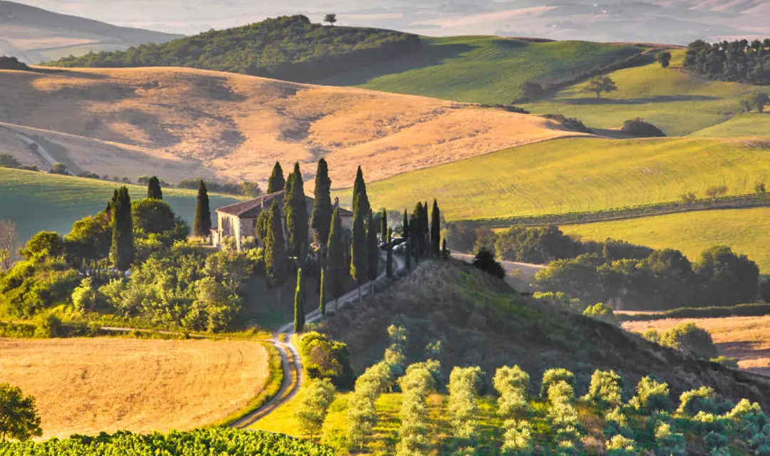 Tuscany fields 